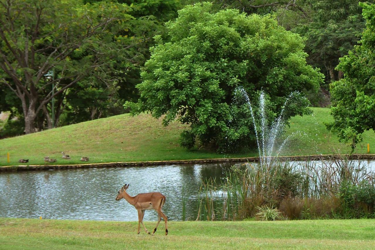 Kruger Park Lodge Unit No. 612 Hazyview Eksteriør billede